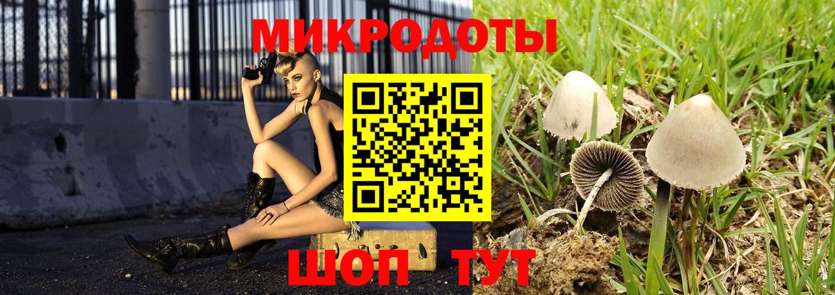 Галлюциногенные грибы мухоморы Люберцы