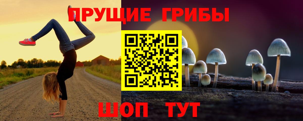 Люберцы  Галлюциногенные грибы Psilocybine cubensis  Вход с VPN  Галлюциногенные грибы ЛСД 